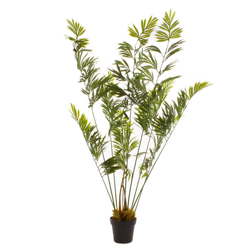 180cm Real Touch Cycad Palm Tree